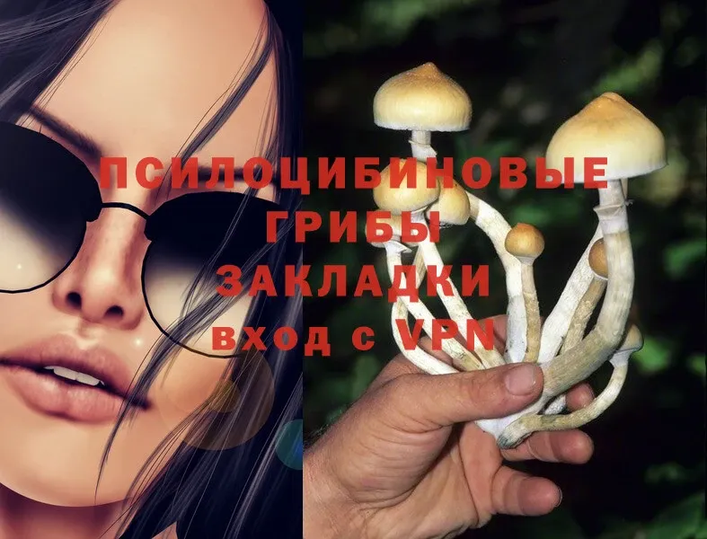 Галлюциногенные грибы Magic Shrooms  Липки 